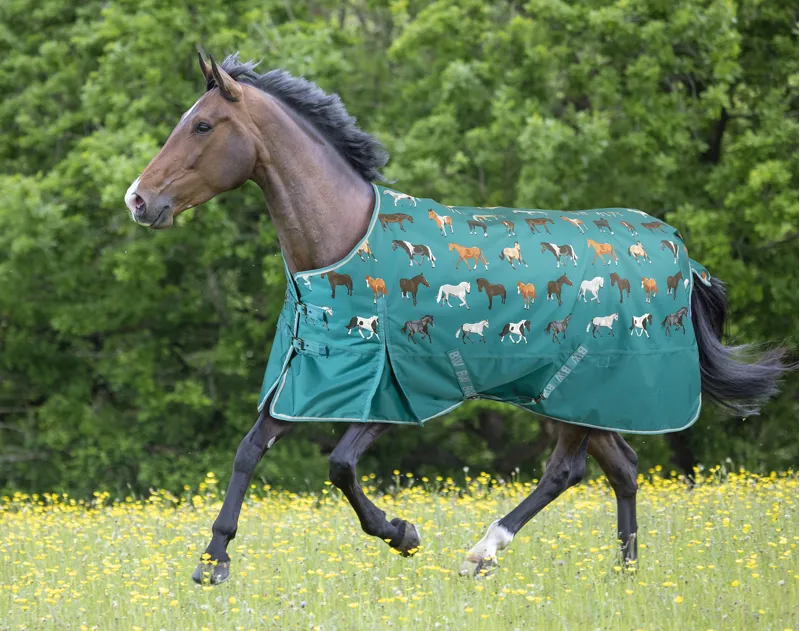 Bridleway Ontario Lightweight Rug in Horse Breed Design